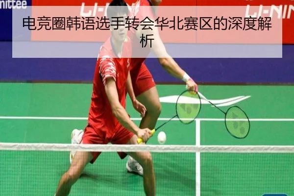 电竞圈韩语选手转会华北赛区的深度解析